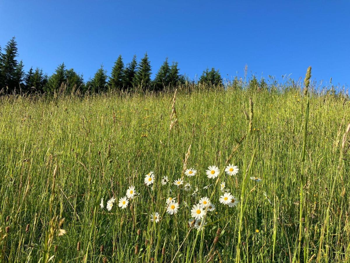 Villa Guffertblick Achenkirch Esterno foto